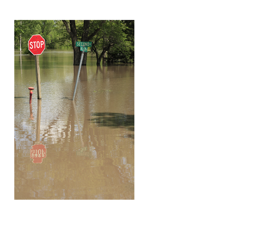 Flood Image